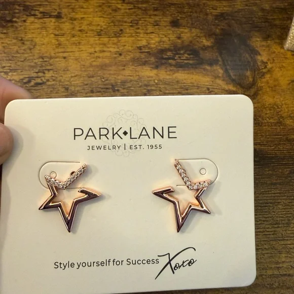 Park Lane Rose Gold Star Outline Earrings with Pavé Accents - Picture 3 of 3